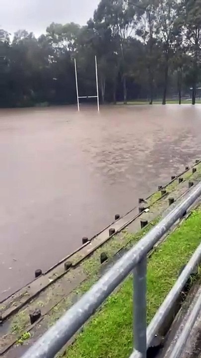 Scylla Bay Oval