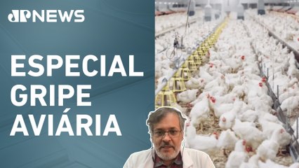 Especialista afirma que não há risco de nova pandemia