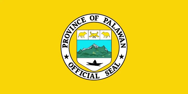 Flag of Palawan. Bendera Provinsi Palawan. Palawan Province Flag. Flag of Province of Palawan. Province of Palawan Flag. Watawat ng Lalawigan ng Palawan. Watawat ng Palawan. Bendera Palawan. Drapeau de la province de Palawan. Drapeau de Palawan. パラワン州の旗