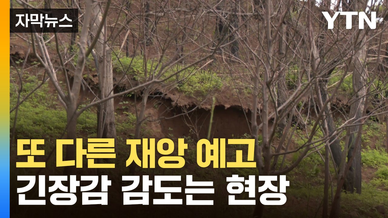 [자막뉴스] 여름 다가오며 '비상'... 또 다른 재난 위기 / YTN