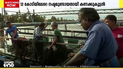 പെരിയാർ മത്സ്യകുരുതിയിൽ ഒരു വർഷമായിട്ടും നഷ്ടപരിഹാരം കിട്ടാതെ മത്സ്യകർഷകർ