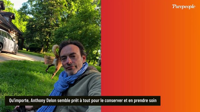 Ses enfants n’auront pas les moyens : Le constat sans appel d'Alain Delon sur l'entretien de Douchy après son départ, un prix à 6 chiffres