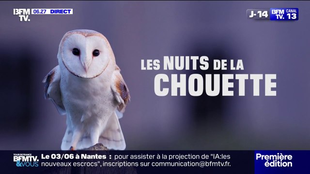 LES NUITS DE LA CHOUETTE - Des éclosions à Moëze (Charente-Maritime) et des oisillons en bonne santé en Vendée