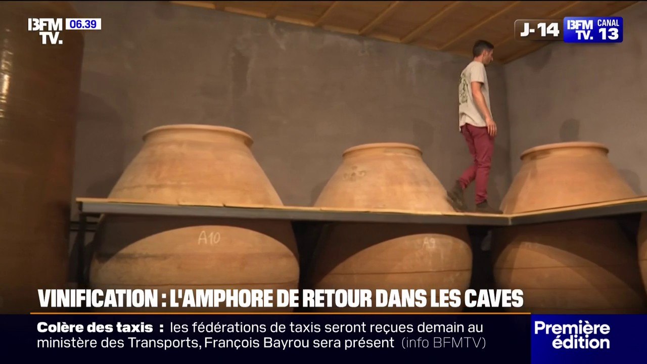 Vin: dans ces caves, l’amphore a remplacé le fût en bois traditionnel