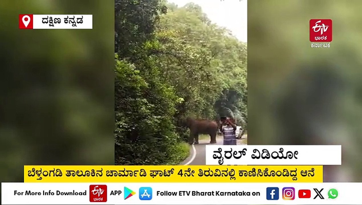 ಚಾರ್ಮಾಡಿ ಘಾಟ್​​ನಲ್ಲಿ ಕಾಡಾನೆ ಜೊತೆ ಸೆಲ್ಫಿ; ವಾಹನ ಸವಾರರ ವಿರುದ್ಧ ಕ್ರಮಕ್ಕೆ ಅರಣ್ಯ ಸಚಿವರ ಸೂಚನೆ