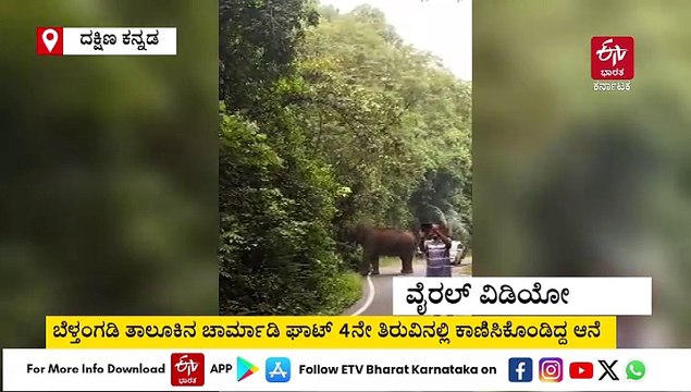 ಚಾರ್ಮಾಡಿ ಘಾಟ್​​ನಲ್ಲಿ ಕಾಡಾನೆ ಜೊತೆ ಸೆಲ್ಫಿ; ವಾಹನ ಸವಾರರ ವಿರುದ್ಧ ಕ್ರಮಕ್ಕೆ ಅರಣ್ಯ ಸಚಿವರ ಸೂಚನೆ