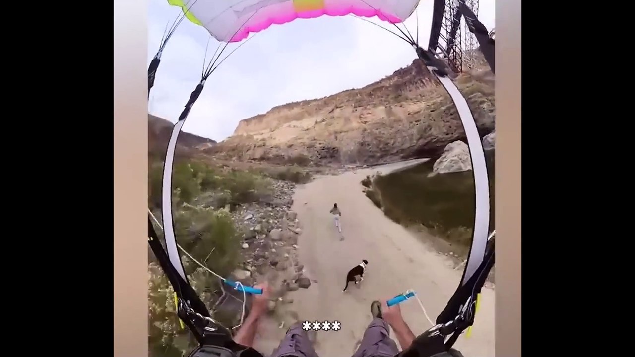 Grand Funny Video
