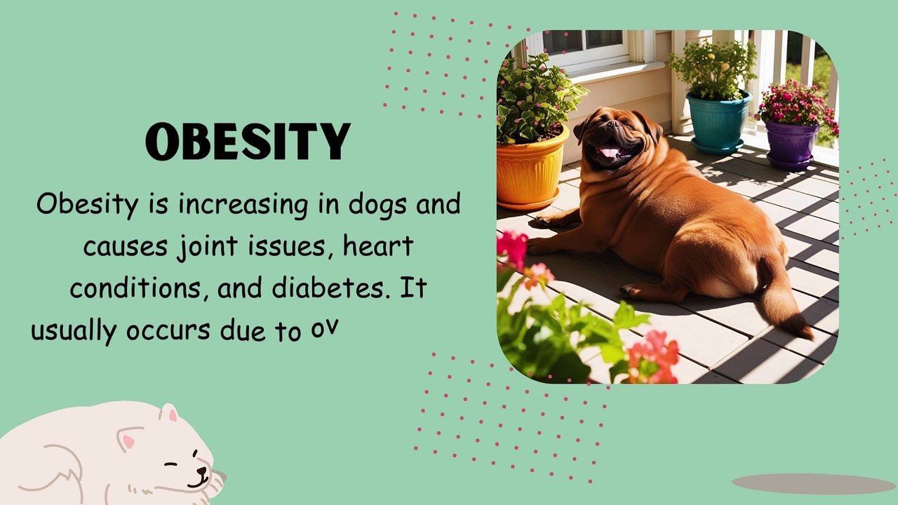 Most Common Health Problems Dogs Face during their life