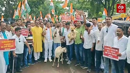 हाथ में मुर्गा, शराब बॉटल और बकरा, चित्रकोट में कांग्रेस का अनोखा विरोध प्रदर्शन
