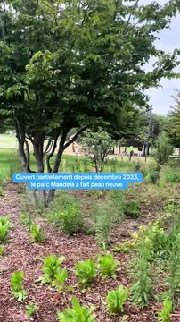 Le parc Nelson-Mandela, dans le quartier de la Part-Dieu à Lyon, transformé