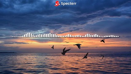 BIRDS OF A FEATHER 🕊 | Official Lyric Video | Anthem for the Misfits & Dreamers