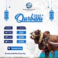 🐄 Give Qurbani, Feed the Forgotten – Eid al-Adha Sacrifice with Impact