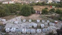 5 kişi arılara taşlarla saldırdı o anlar kamerada