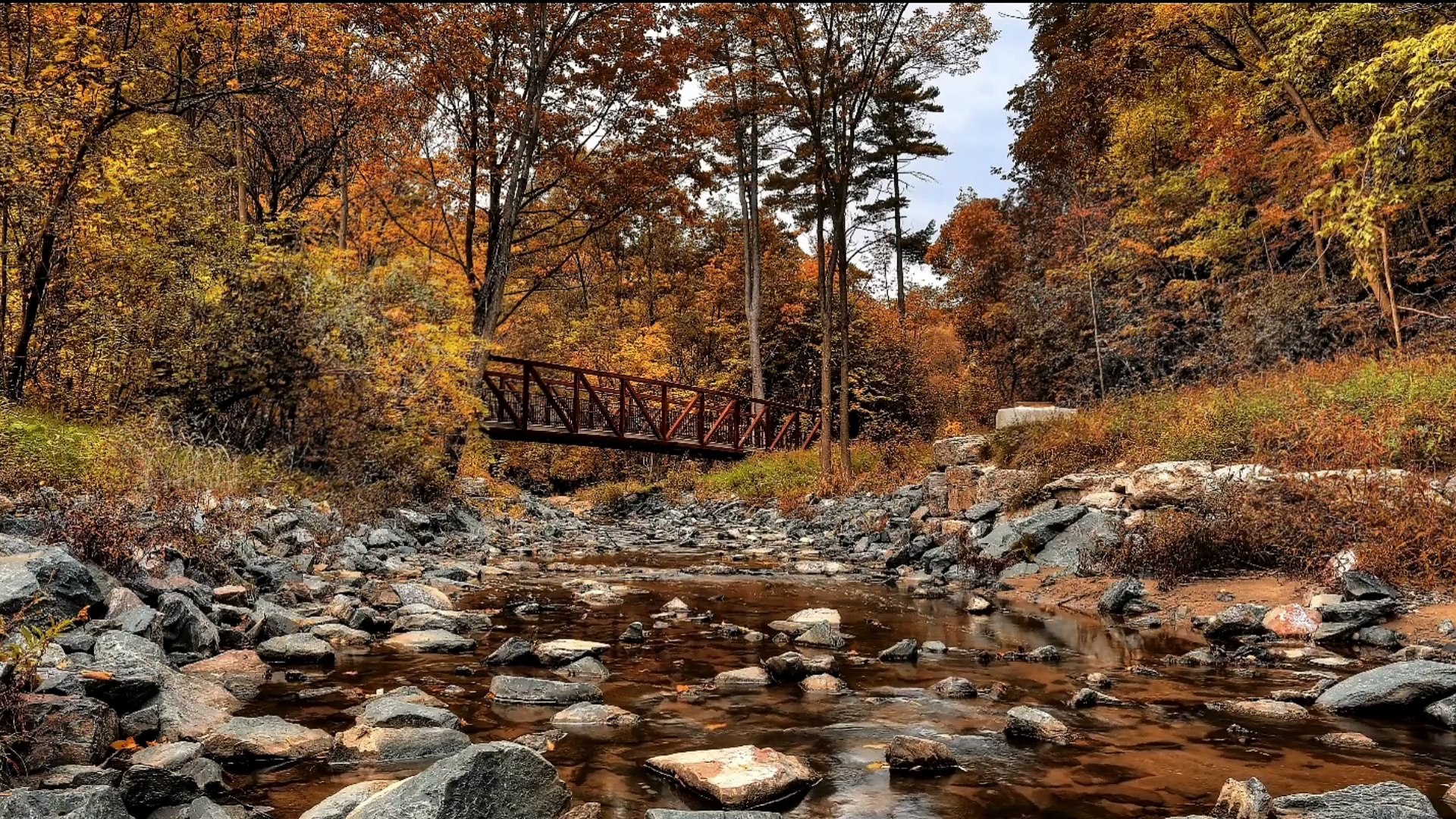 ⁣Relaxing Piano & Nature Sounds – Gentle Stream, Birds, Soft Melodies for Stress Relief & Sle