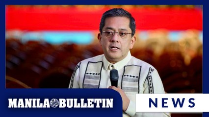 Deciding on Duterte Youth DQ case 'not that easy' — Comelec