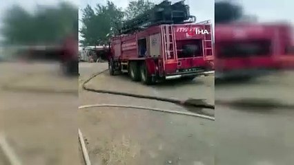 Edremit'te Çiftlik Alevlere Teslim Oldu!