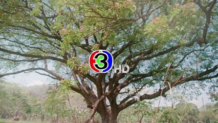 My Marvellous Dream Is To You (2024) Episode 8 Eng Sub