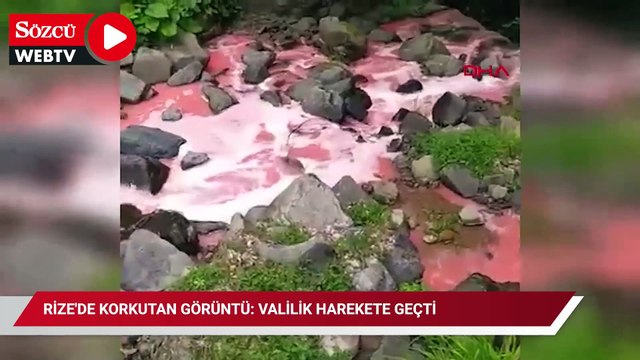Rize'de korkutan görüntü: Valilik harekete geçti