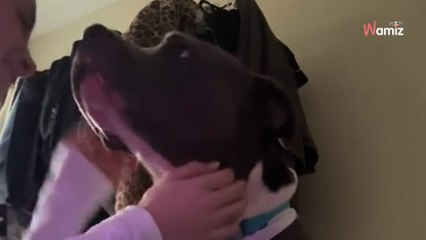 Elle sauve une vie mais oublie la règle stricte de son immeuble : 12,4K personnes sont en larmes (vidéo)