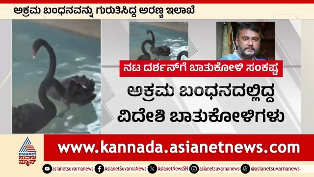 ದರ್ಶನ್ ಫಾರ್ಮ್ ಹೌಸ್ ನಲ್ಲಿ ಅಕ್ರಮವಾಗಿ ಪ್ರಾಣಿ ಪಕ್ಷಿಗಳ ಸಾಕಾಣಿಕೆ; ಬಿತ್ತು ಮತ್ತೊಂದು ಕೇಸ್ । Darshan News