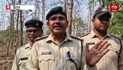 वन विभाग को मिली जादू की छड़ी, एक क्लिक में मध्यप्रदेश के किसी भी जंगल की कुंडली