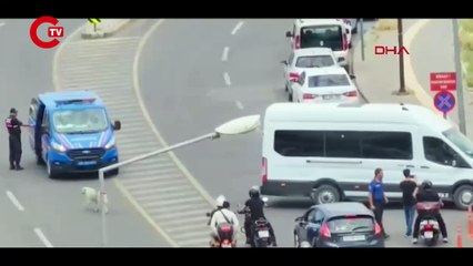 Yanan kamyonette cesetleri bulunmuştu: Soruşturmada yeni gelişme!