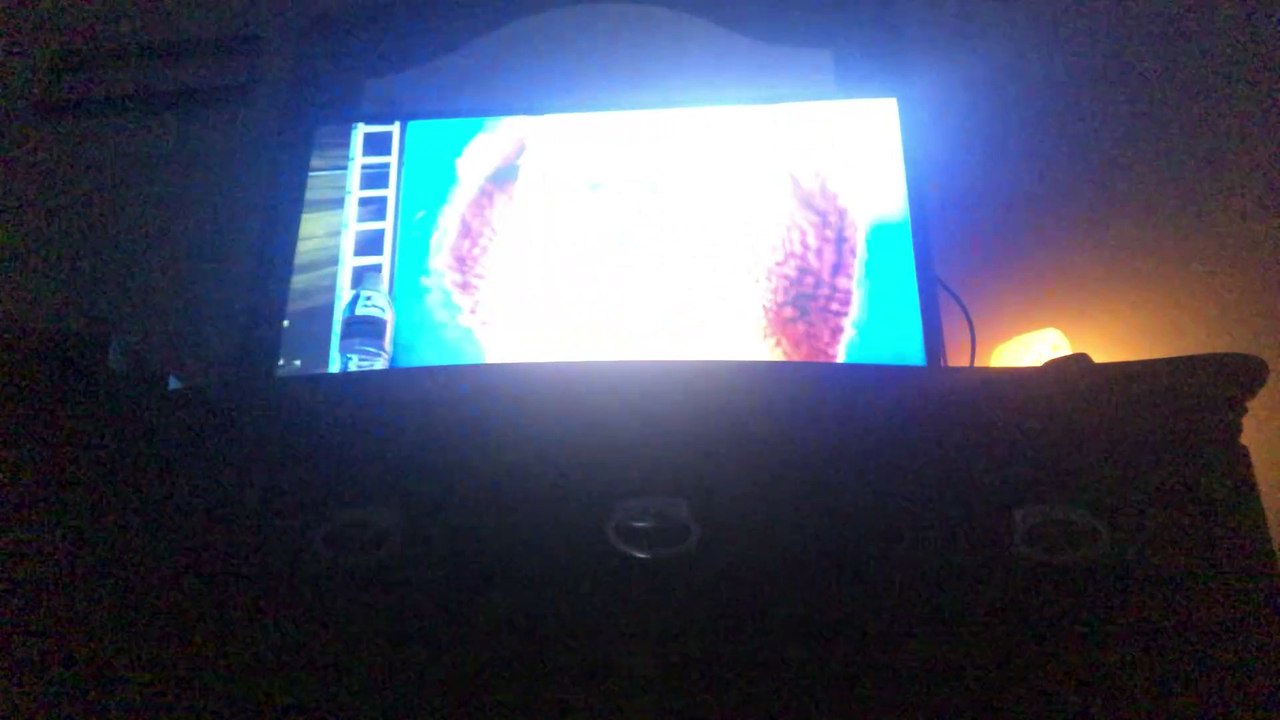 #gorilla