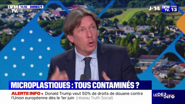Une nouvelle étude du CNRS et de l'Inrae confirme que les microplastiques se sont infiltrés chez tous les êtres vivants