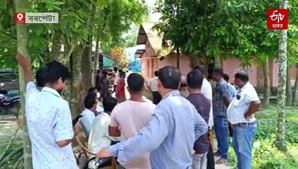 একেদিনাই নিধন ৫৬ টা গাহৰি: আফ্ৰিকান ছোৱাইন ফিভাৰে লৈছে ভয়ংকৰ ৰূপ