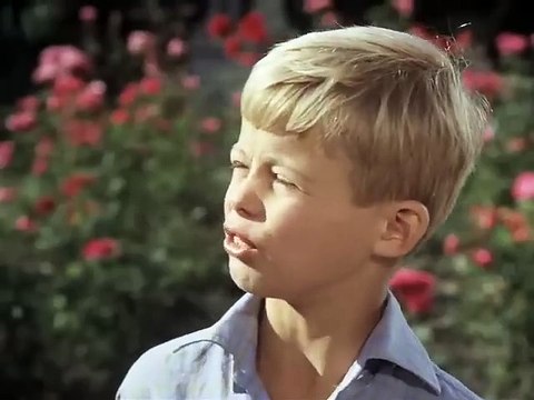 Pippi Langstrumpf - Pippi macht einen Ausflug