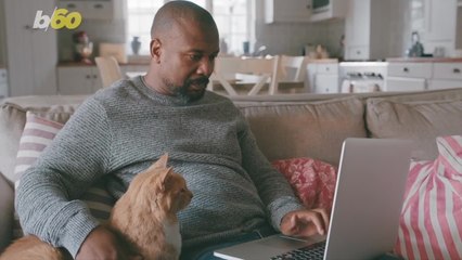 We’ve All Heard the Term Cat Lady! Is It Actually True?