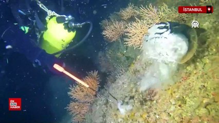Marmara Denizi'nde çalışma yapan dalgıçlar, mercanları müsilajdan temizledi