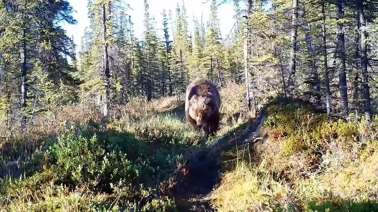 They Said It Was Illegal... So I Built It Anyway