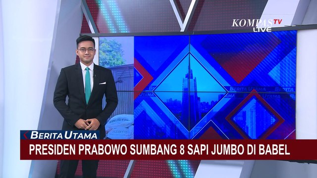 Potret 8 Sapi Sumbangan Presiden Prabowo untuk Idul Adha di Bangka Belitung