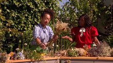 RHS Chelsea Flower Show 2025 episode 9