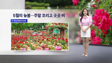 [이슈날씨] 5월의 늦봄…주말 흐리고 곳곳 비 / YTN