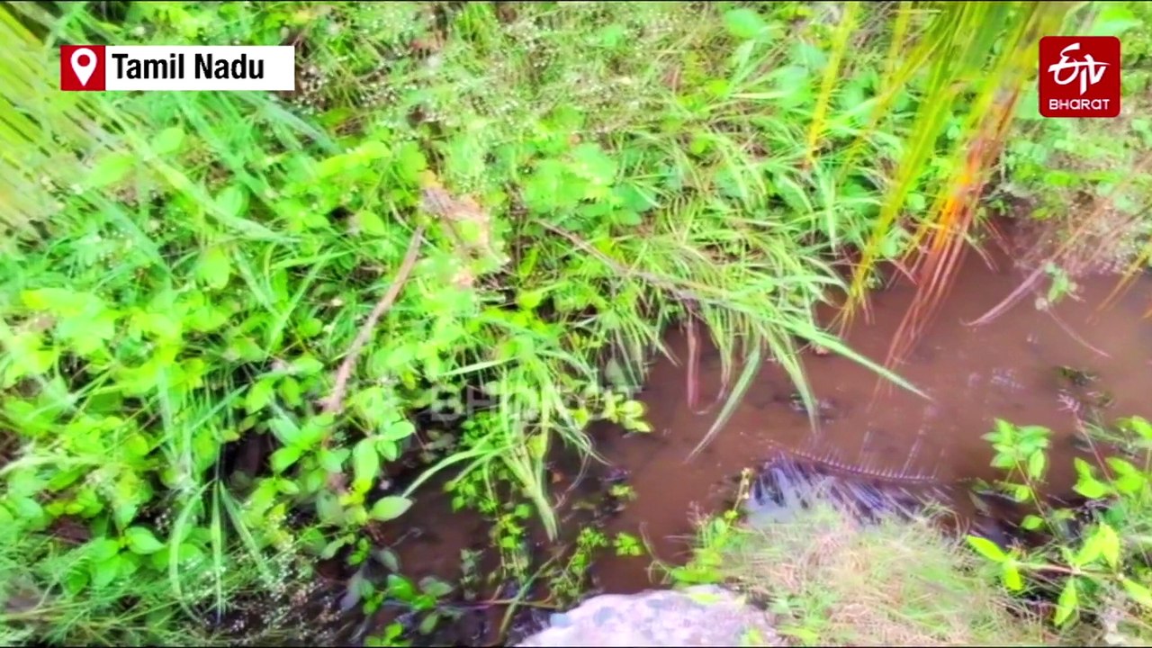 Nagamalai Hills Sees Increased Reptiles Sanctuary Demand On Biodiversity Day