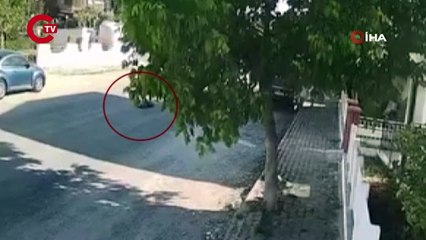 Kuşadası’nda tur otobüsü sokakta yatan köpeği ezdi geçti, o anlar kameralara yansıdı