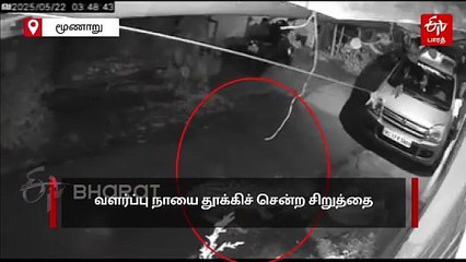 தூங்கிக் கொண்டிருந்த வளர்ப்பு நாயை சைலண்டாக தூக்கிச் சென்ற சிறுத்தை.. மூணாறு மக்கள் அச்சம்!