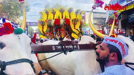 हगवणेंच्या बैलांना मोठा मान, आजोबा कोण