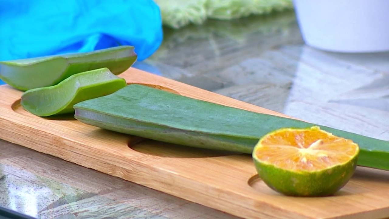 bd-beneficios-del-aloe-vera-230525