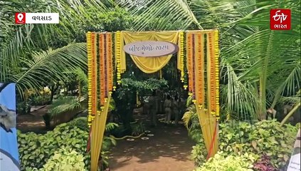 વલસાડમાં વિલુપ્ત થતા વૃક્ષોનો બીજ મેળો યોજાયો, ચાંદીવો, કરવળ, રોહણ સહિત 250થી વધુ દુર્લભ બીજ એક સ્થળે