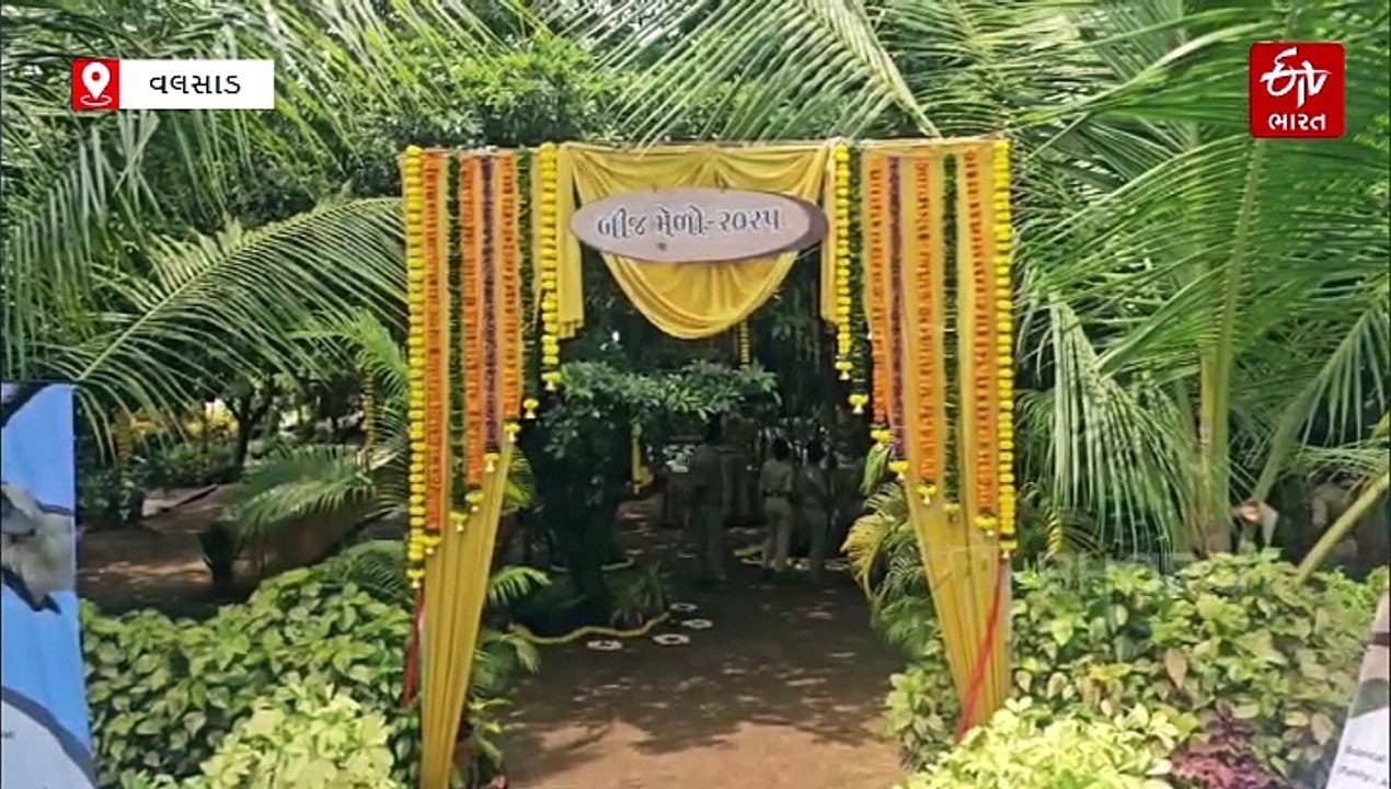 વલસાડમાં વિલુપ્ત થતા વૃક્ષોનો બીજ મેળો યોજાયો, ચાંદીવો, કરવળ, રોહણ સહિત 250થી વધુ દુર્લભ બીજ એક સ્થળે