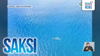 Mag-inang dugong, namataan sa katubigan ng Sarangani Bay | Saksi