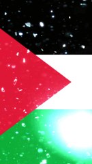 Palestina ♡ (Creación y Concientización) (2K)