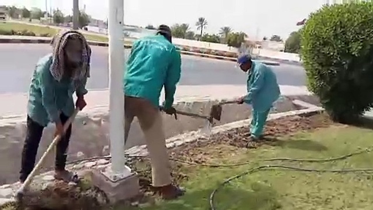 Garden Maintenance