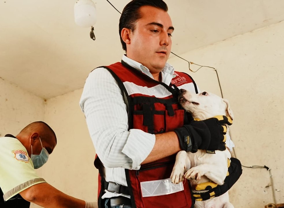 Manuel Guerra Cavazos rescata a 14 perritos abandonados en García tras operativo