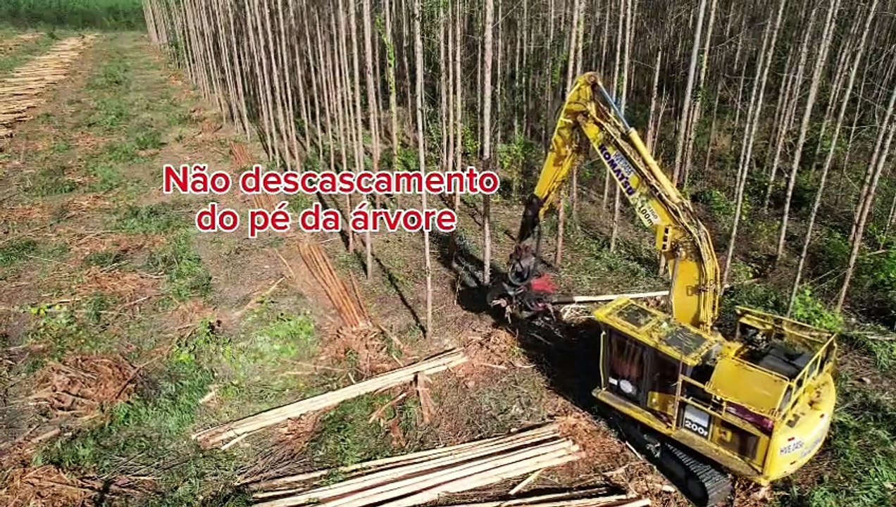 Operação Assistida