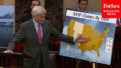 Bill Cassidy Urges Support To End National Flood Insurance Program's  'Risk Rating 2.0'