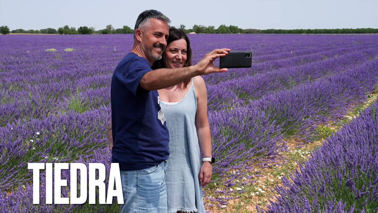 El pueblo de Valladolid que arrasa en Instagram con su cielo estrellado y campos de lavanda